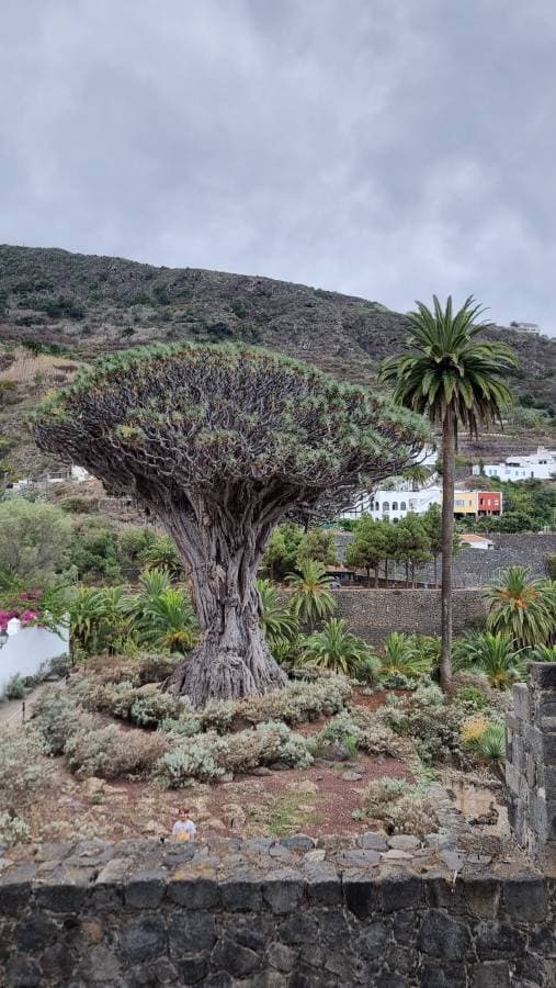 Photo 1 by ZIVILE K. about hiring a Volkswagen T-Cross in the Canary Islands (07.09.25)
