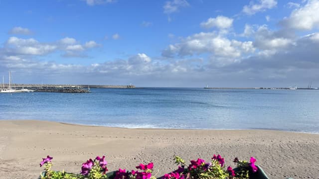 Photo 1 by Paulo C. (11/8/23)