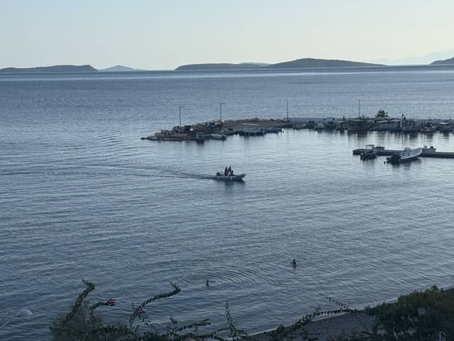 Foto 1 di Antonio P. (14/09/25)