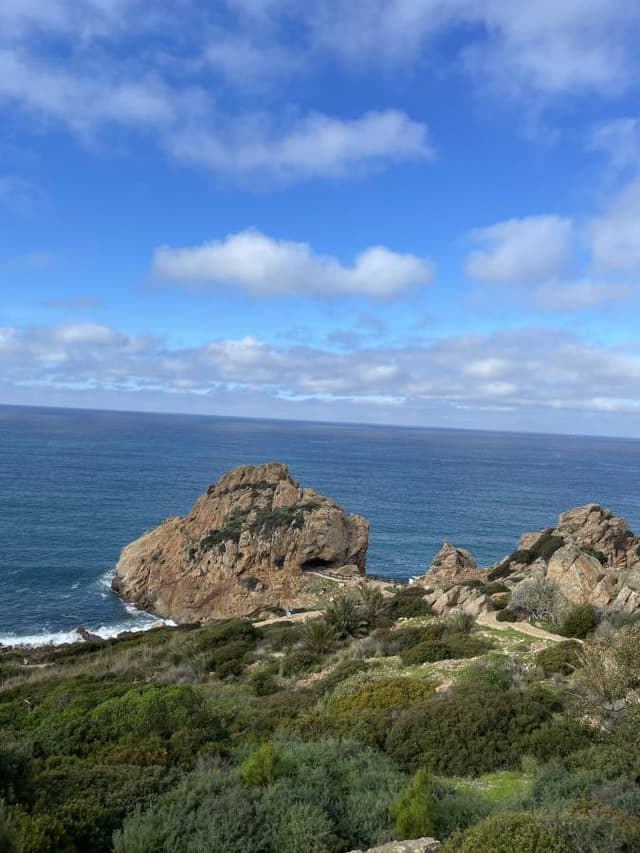 Foto 1 av Josef A. (23-01-10)