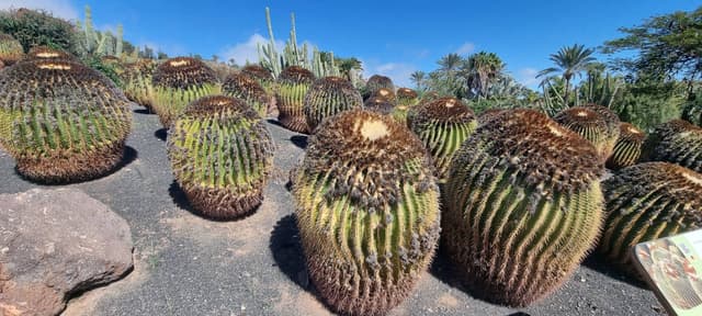 Zdjęcie 3 wykonane przez Andrzej P. (2.03.26)