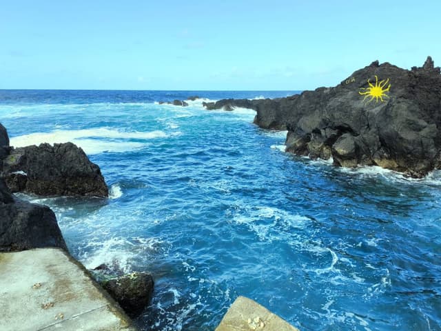 Foto de Jose Miguel E. sobre o aluguer de um Seat Ibiza em Praia da Vitória (21/04/25)