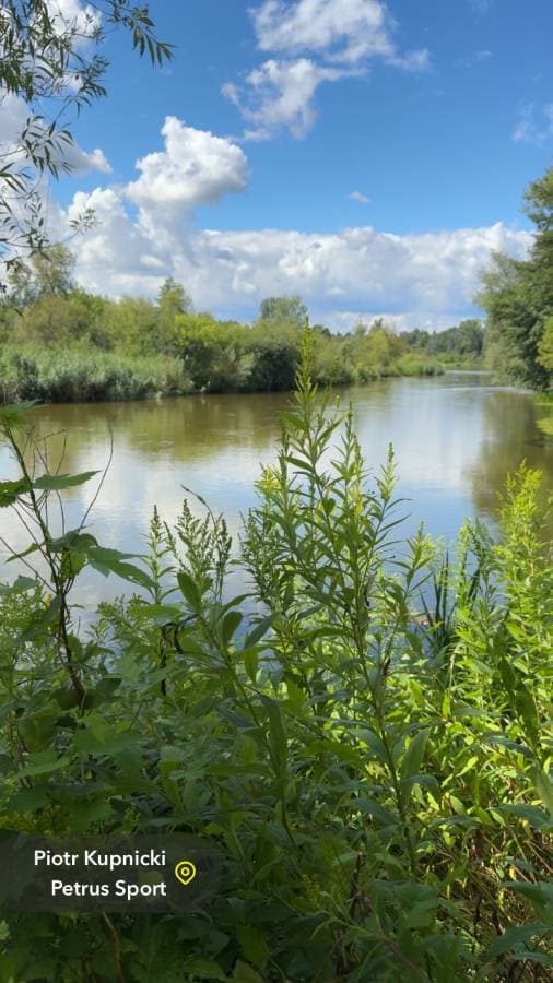 صورة 1 بواسطة Hamdi A. (1/8/25)