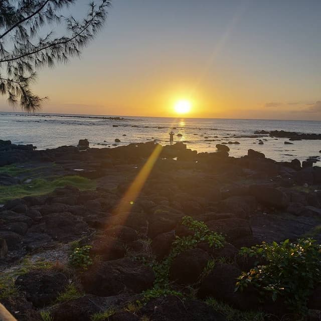 Photo 1 by Carol T. about renting a Honda Jazz at Mauritius Airport (3/20/24)