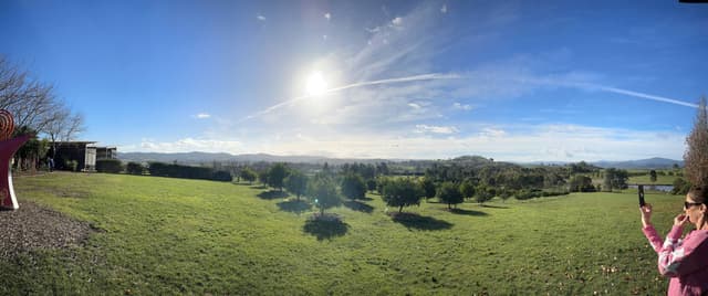 Photo 2 by Cindy O. (6/14/24)