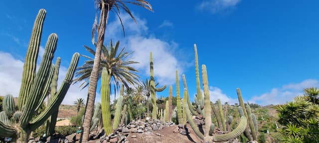 Zdjęcie 4 wykonane przez Andrzej P. (2.03.26)