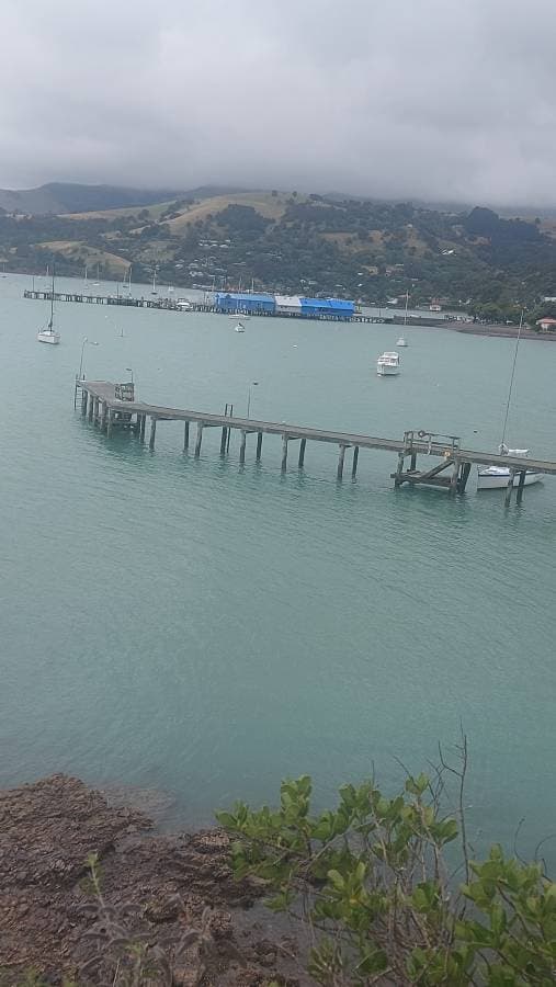 Photo 1 by Craig H. about renting a Toyota Aqua at Christchurch Airport (1/20/25)