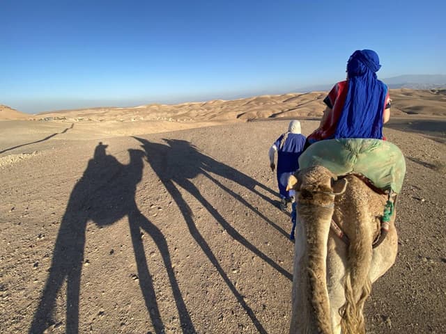 Zdjęcie 3 wykonane przez Zbigniew S. (19.11.23)