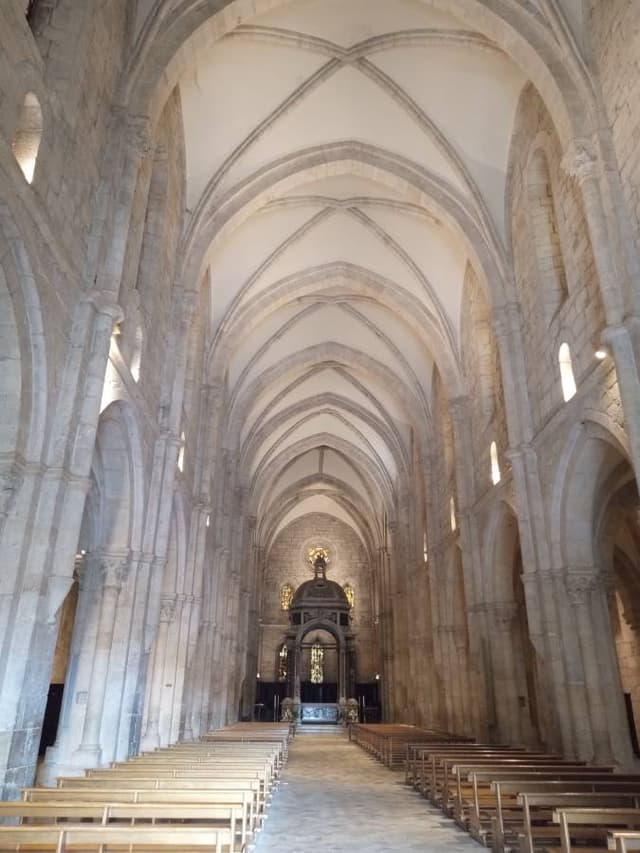 Foto 1 di Antonio Angelo F. (11/04/25)