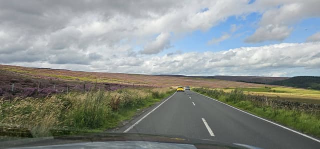 Photo by Krzysztof O. (8/29/23)