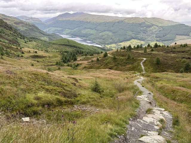 Photo 1 by Frederick B. (8/2/24)