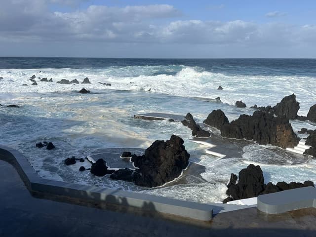 Photo 2 by Sylvie B. (1/28/26)