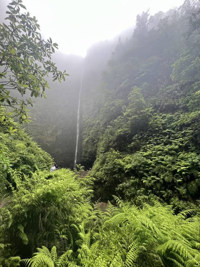 Foto 2 van Natalie V. (17-7-25)