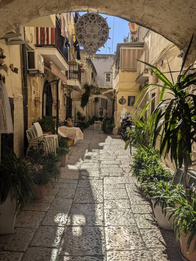 Foto 1 di Alessandro P. (11/05/26)