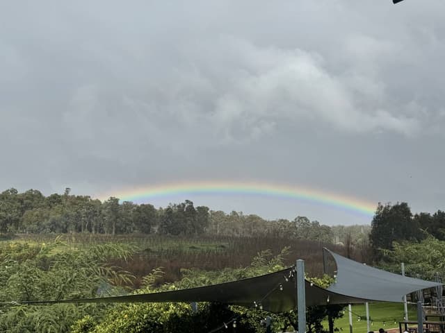 Photo 1 by King Yong N. about hiring a Toyota RAV4 at Perth Airport (29/07/24)