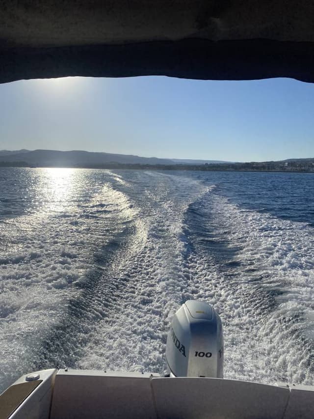 Photo 2 by Stewart L. (10/22/25)