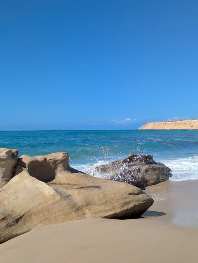 Photo 1 par Cecile B. (09/01/26)