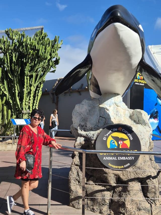 Fotografia 1 realizată de Elena M. (01.01.26)