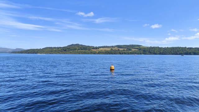 Photo 1 by Kuldeep S. (8/18/24)