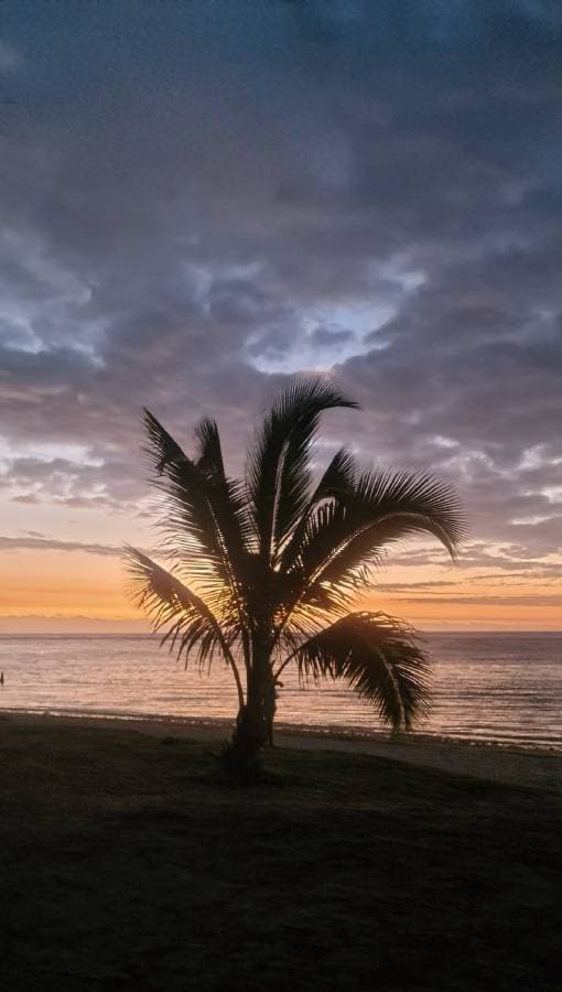 Photo by Thierry R. (1/14/24)