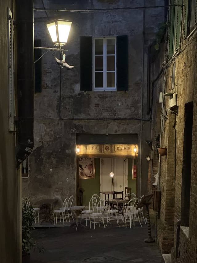 Photo by Bence Mark M. (1/11/26)