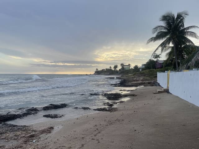 Photo 2 by Sarvesh S. (7/10/26)