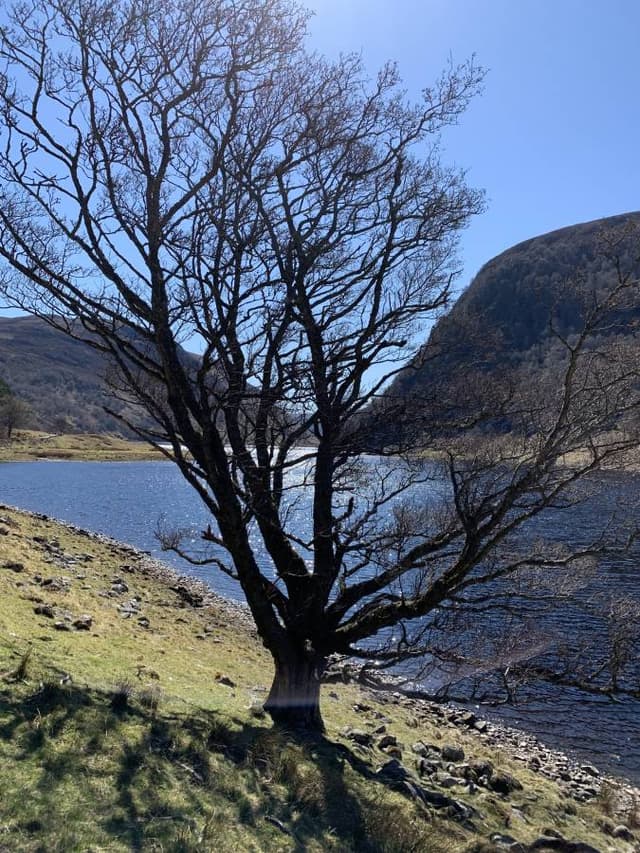 Photo by Jane Y. about hiring a Fiat 500 at Inverness Airport (26/04/23)