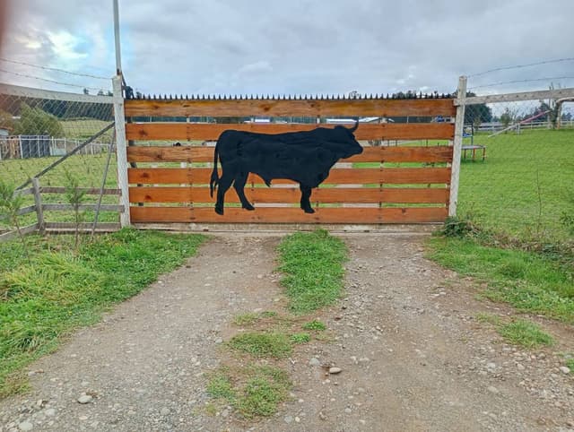 Photo 1 by JORGE P. (2/22/26)