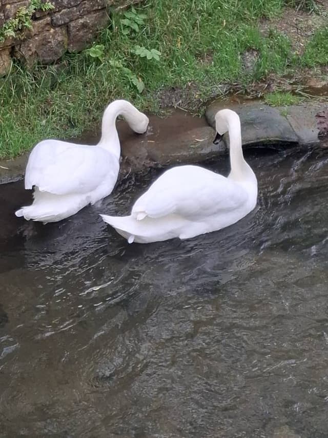 Photo 1 by doron S. (10/16/24)