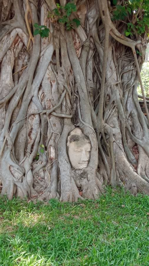 Foto 2 de MARIA LORETO M. (16/10/23)