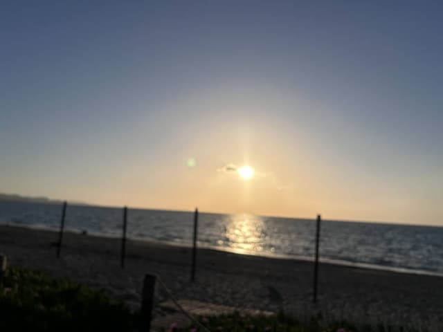 Photo 2 by HEIDI S. (5/21/26)