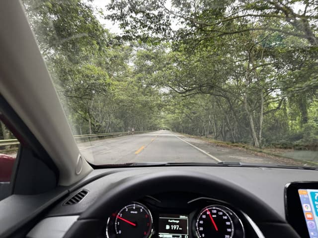 Zdjęcie wykonane przez Michal G. (31.12.24)