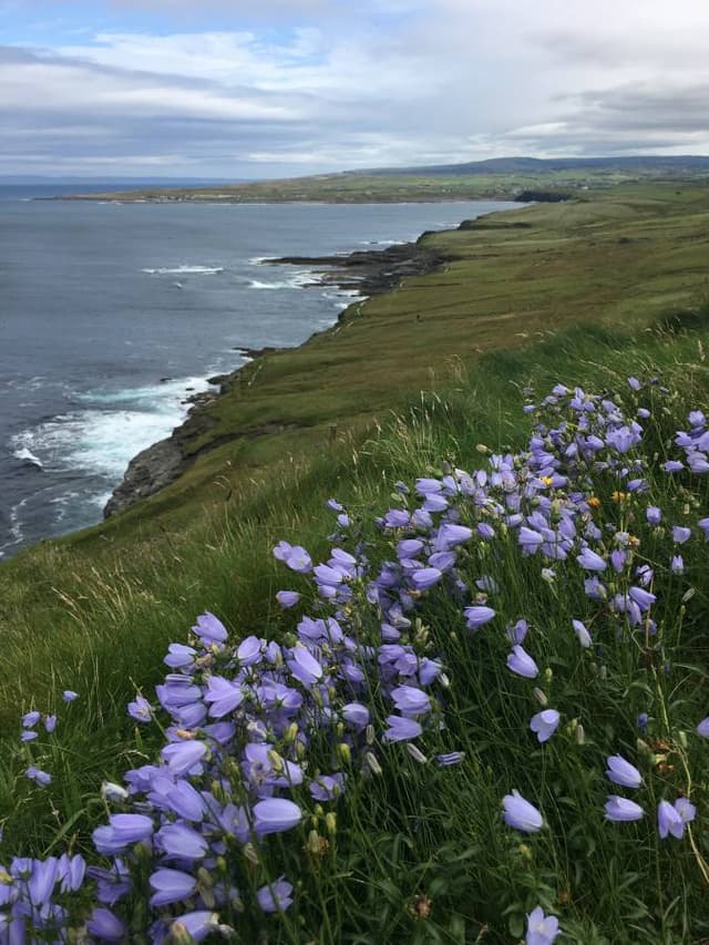 Photo 2 par Eric B. sur la location d'un Toyota Aygo en Irlande (16/08/24)