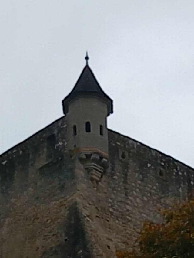 Foto 1 di Graziella S. (03/11/25)