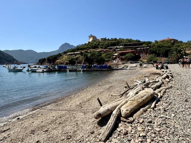 Photo 1 par Claude B. (10/08/24)