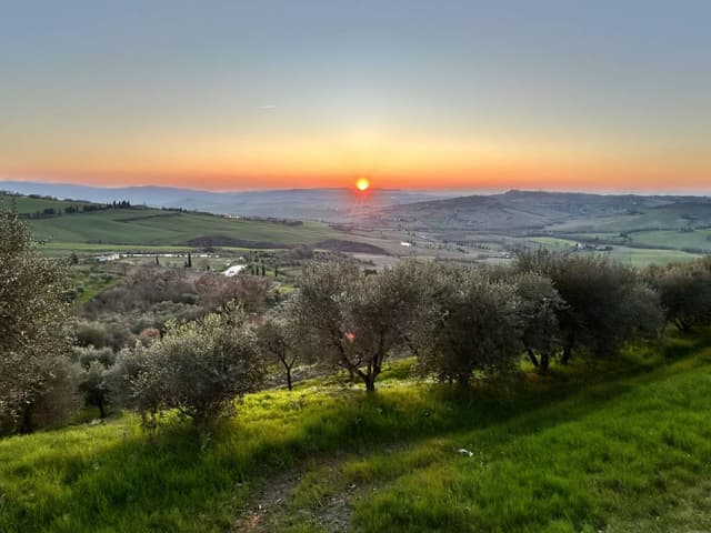 İtalya - Ana kara’da bir Volkswagen Polo kiralama ile ilgili mehmet ali T. tarafından 1 fotoğraf (08.03.25)
