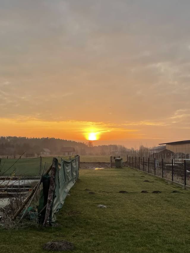 Photo by Aleksandra A. (3/17/24)