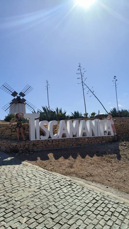 Zdjęcie 1 wykonane przez Marcin W. dotyczące wynajmu Seat Ibiza w na Lotnisku Fuerteventura dnia (27.04.25)