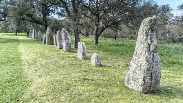 Laszlo E. 2. számú fényképe (26. 03. 20.)