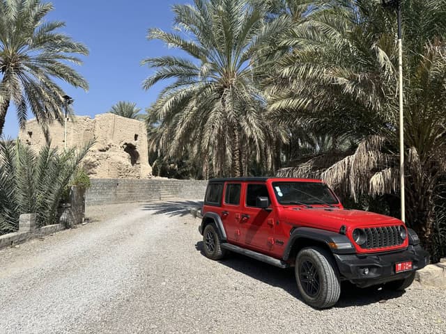 Photo 1 by Attila P. (11/2/25)