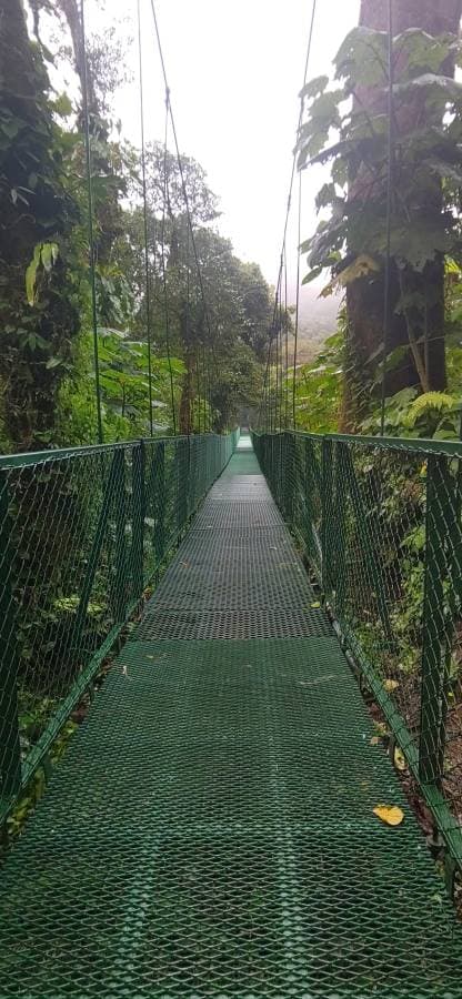 Billede 1 af Laura W. om at leje en Hyundai Creta i Costa Rica (12/17/23)