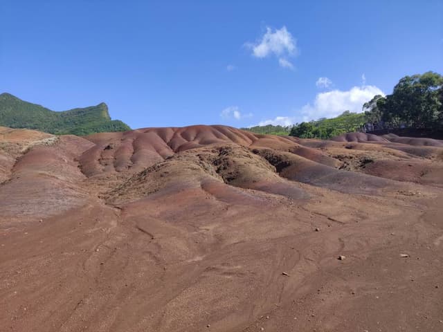 Photo 1 by Marius K. (7/7/25)