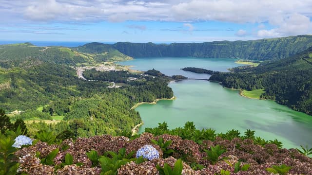 Photo 2 by George D. (10/19/25)