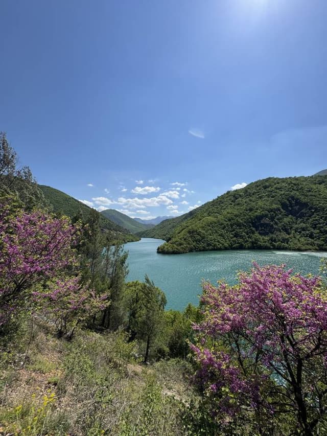 Zdjęcie wykonane przez PATRYK O. (19.04.26)