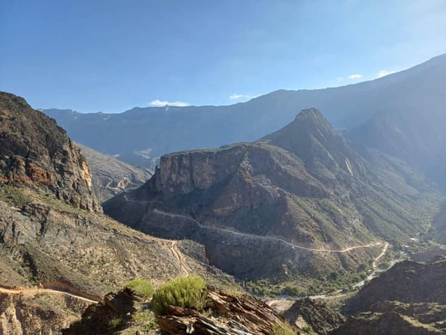 Foto 1 di PAOLO N. (07/01/25)