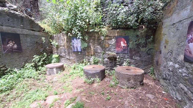 Foto 3 von Friedrich G. (2.6.26)