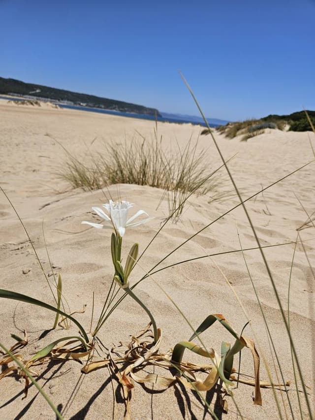 Foto 3 di Giuseppe M. (14/07/24)