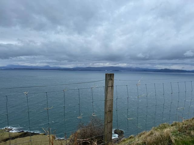 Photo 2 by Felix T. (4/3/24)