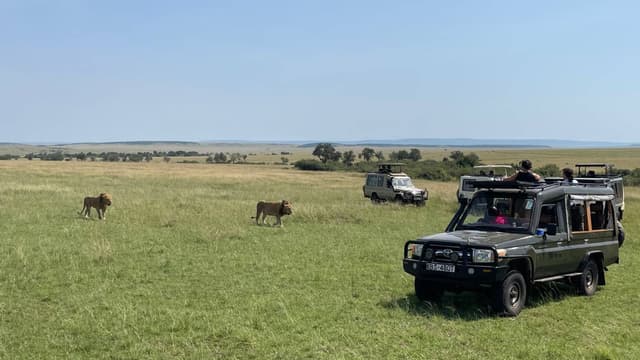 Photo 1 by Su Y. about renting a Toyota RAV4 in Kenya (7/6/23)