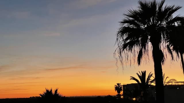 Foto 2 van Paul B. (29-2-24)